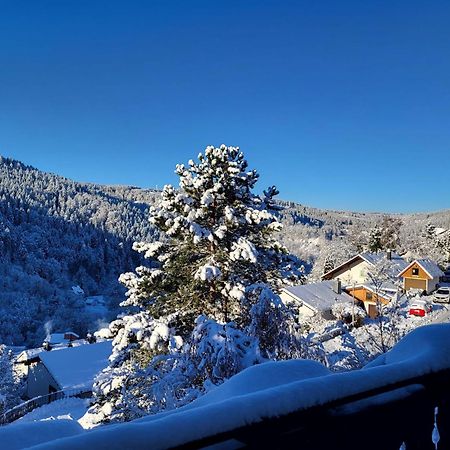 Grosse Ferienwohnung In Ruhiger Lage Mit Toller Aussicht In Triberg Triberg im Schwarzwald ภายนอก รูปภาพ