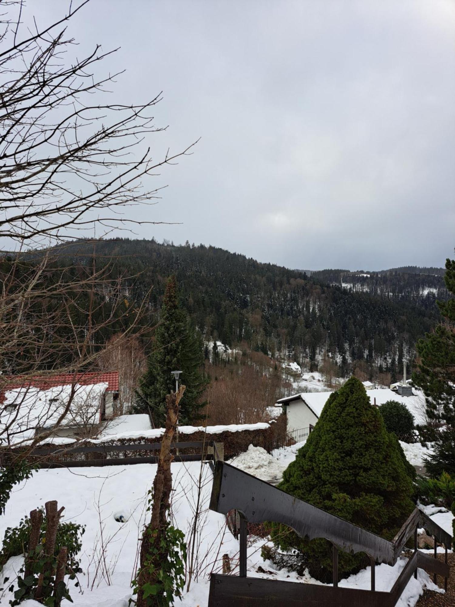 Grosse Ferienwohnung In Ruhiger Lage Mit Toller Aussicht In Triberg Triberg im Schwarzwald ภายนอก รูปภาพ