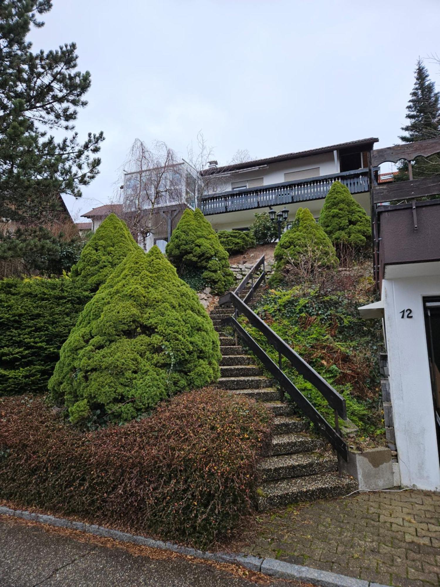 Grosse Ferienwohnung In Ruhiger Lage Mit Toller Aussicht In Triberg Triberg im Schwarzwald ภายนอก รูปภาพ
